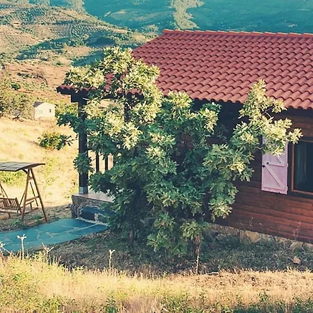Semesterbostad Mountain View Retreat In